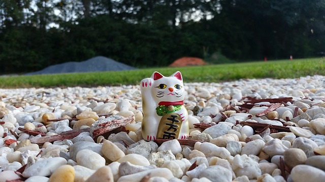 幸运的 猫 ネ - 上的免费照片