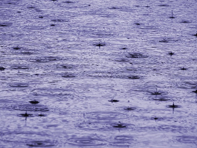 雨 背景图片 质地 - 上的免费照片