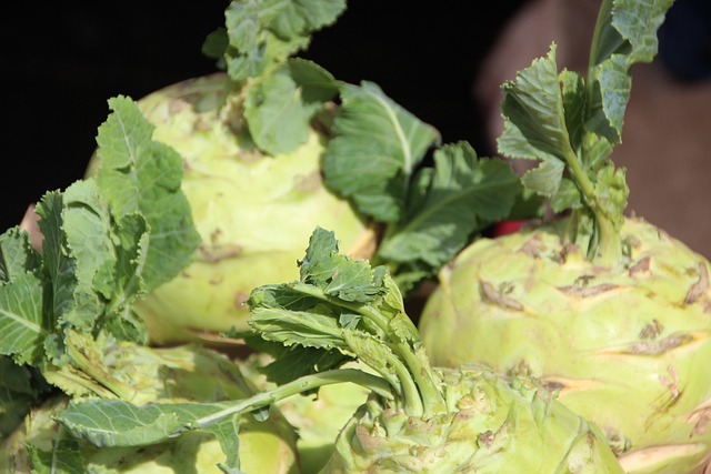 苤 卷心菜 根菜类 - 上的免费照片