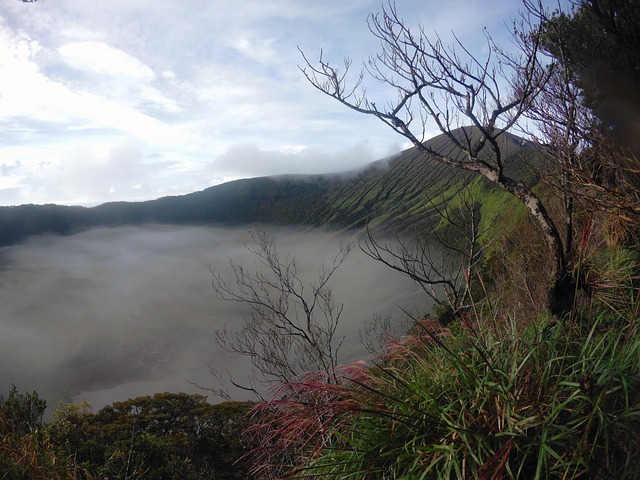 山 多雾路段 树木 - 上的免费照片
