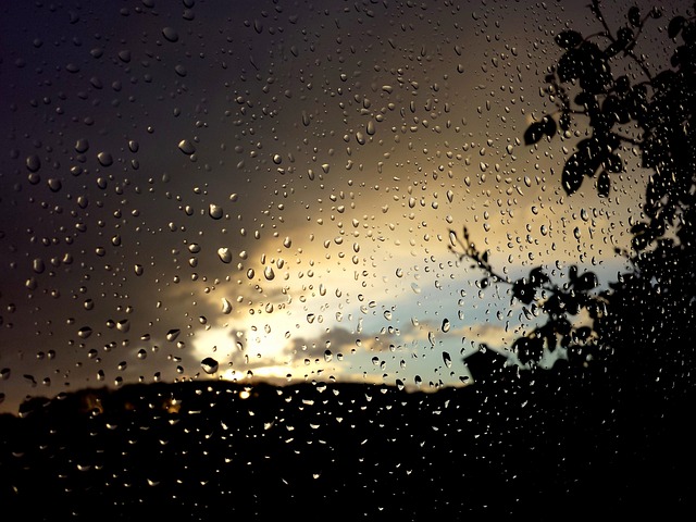 窗格 雨 滴 - 上的免费照片