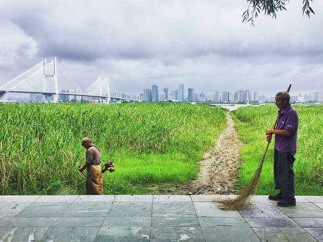 武汉 清洁工 除草 - 上的免费照片