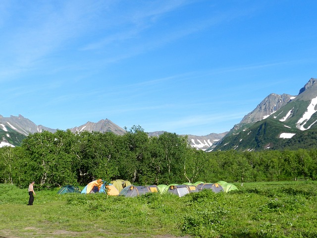 山 森林 湖 - 上的免费照片