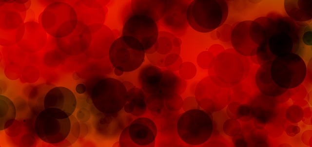 等离子 血 血液细胞 - 上的免费照片