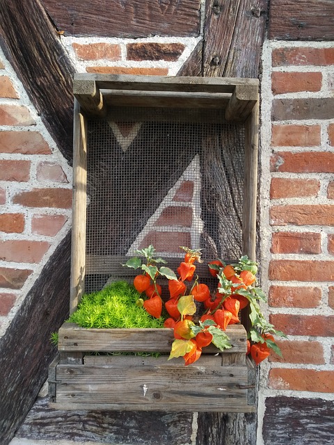 建筑学 桁架 花 - 上的免费照片