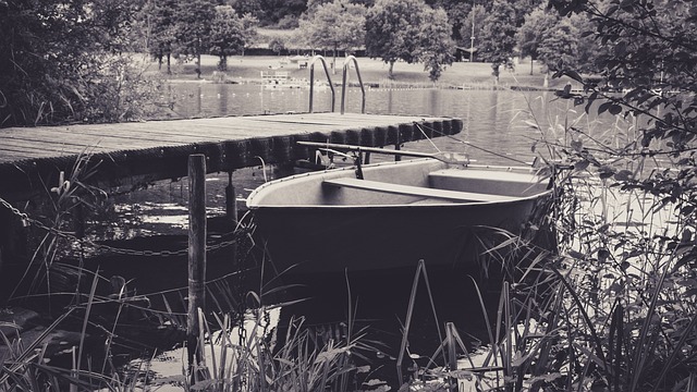 船 网络 划艇 - 上的免费照片