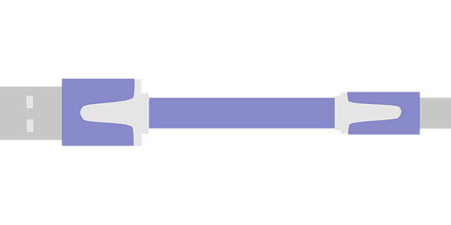 Usb 电缆 Usb电缆 - 免费矢量图形