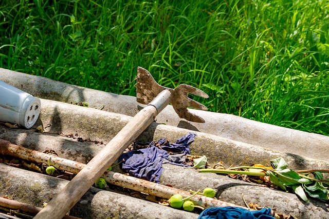 花园 蔬菜花园 乡间别墅 - 上的免费照片