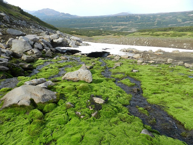 山区的苔原 山 范围 - 上的免费照片