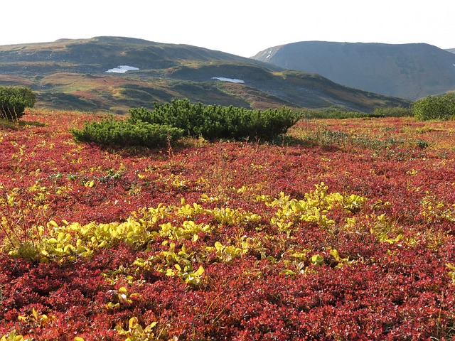 山区的苔原 山 范围 - 上的免费照片