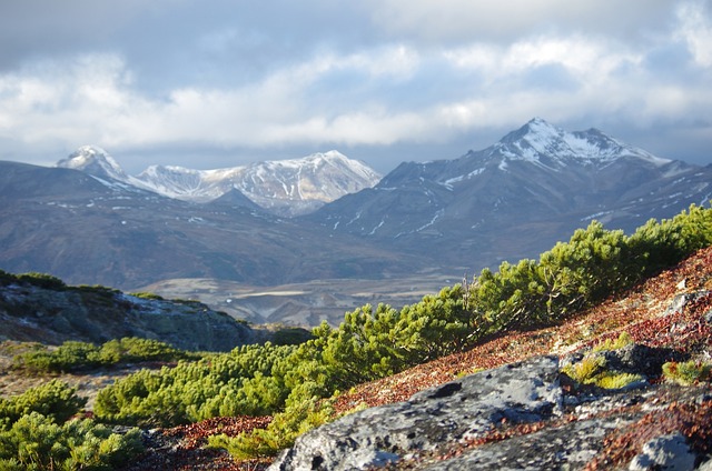 山区的苔原 山 范围 - 上的免费照片