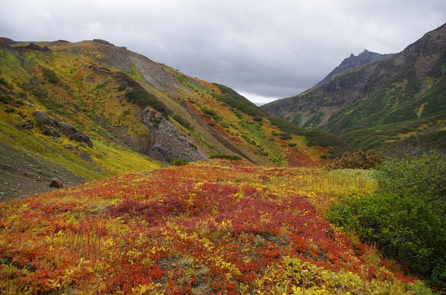 山区的苔原 山 范围 - 上的免费照片