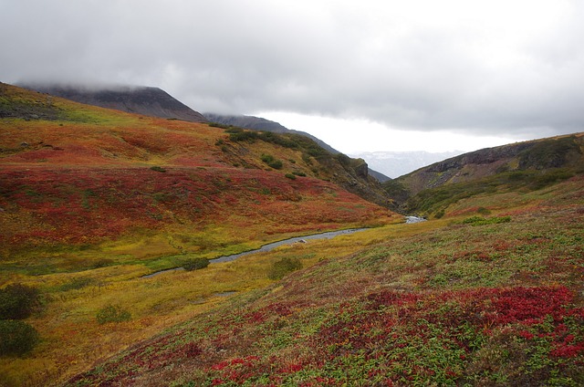 山区的苔原 山 范围 - 上的免费照片