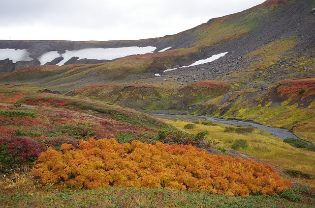 山区的苔原 山 范围 - 上的免费照片