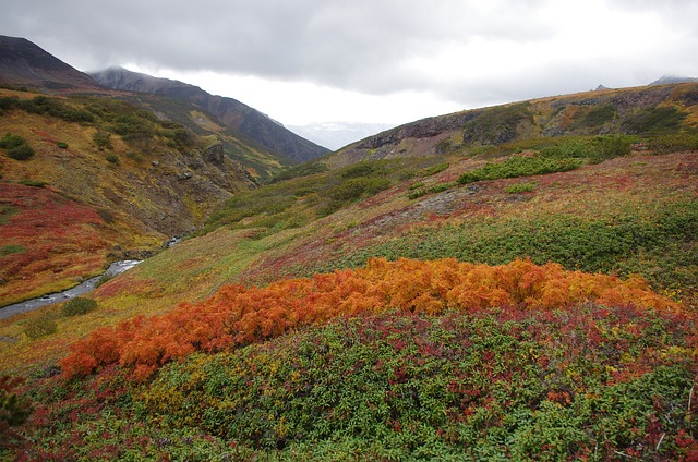山区的苔原 山 范围 - 上的免费照片