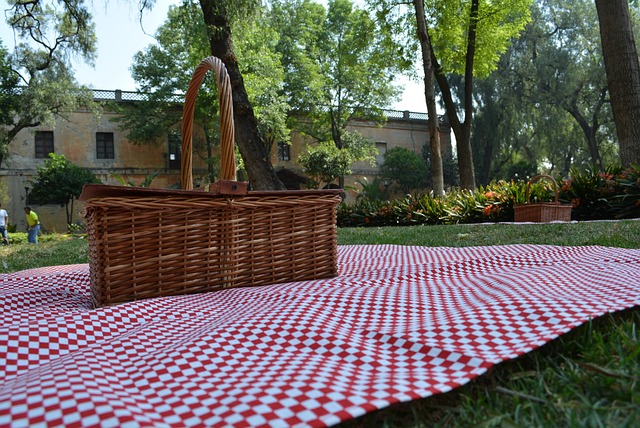 Pic-Nic 野外日 篮子 - 上的免费照片