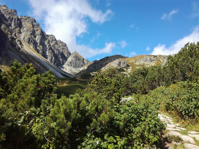 斯洛伐克 塔特里 高塔特拉 - 上的免费照片