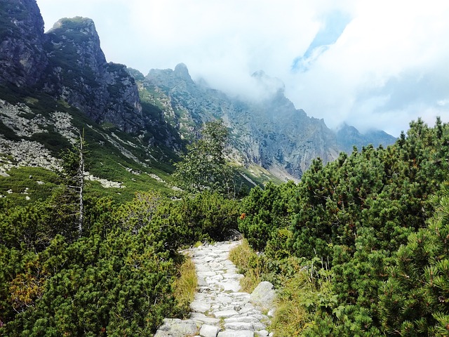 斯洛伐克 塔特里 高塔特拉 - 上的免费照片