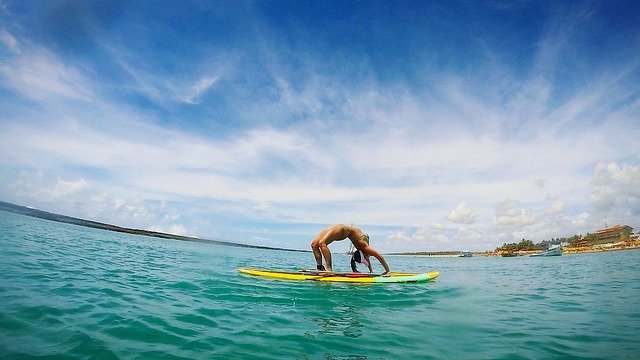 瑜伽 凤梨 海 - 上的免费照片