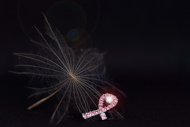 乳腺癌 粉色的 蒲公英 - 上的免费照片