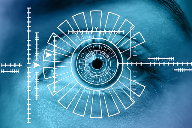 眼睛 虹膜 生物识别技术 - 上的免费图片