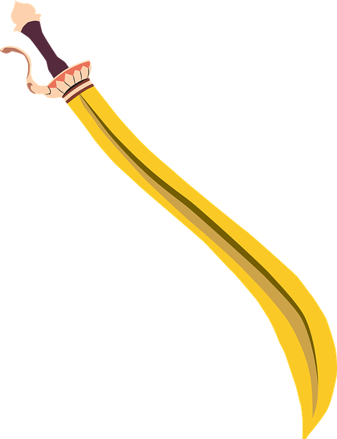 剑的剑 军刀 Backsword - 免费矢量图形