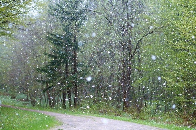 雨 天气 糟糕 - 上的免费照片