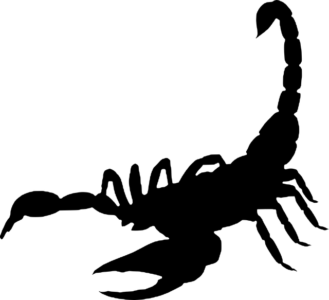 蝎 蛛形 - 免费矢量图形