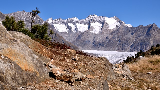 Aletsch 冰川 山 高山全景 - 上的免费照片