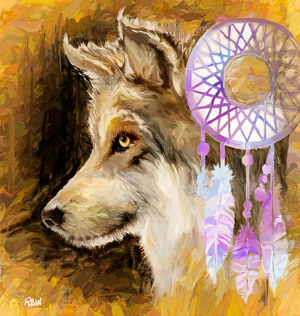 狼在做梦 追梦者 灰狼 - 上的免费照片