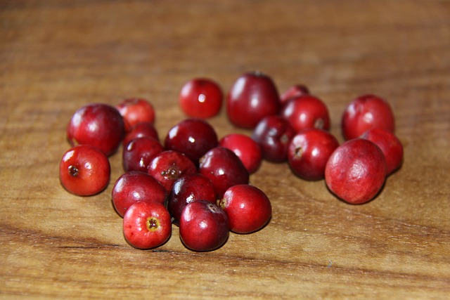 小红莓 越橘红色 水果 - 上的免费照片