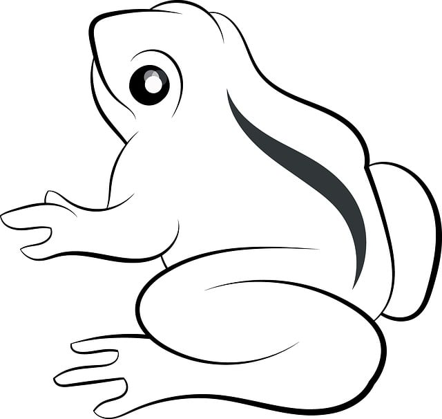 青蛙 动物 荒野 - 上的免费图片