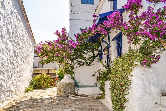 希腊 Skopelos 岛 - 上的免费照片