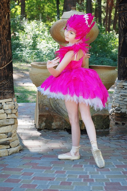 芭蕾舞 芭蕾舞女演员 芭蕾的芭蕾舞裙 - 上的免费照片