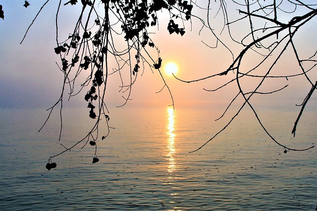 博登湖 湖 早晨 - 上的免费照片