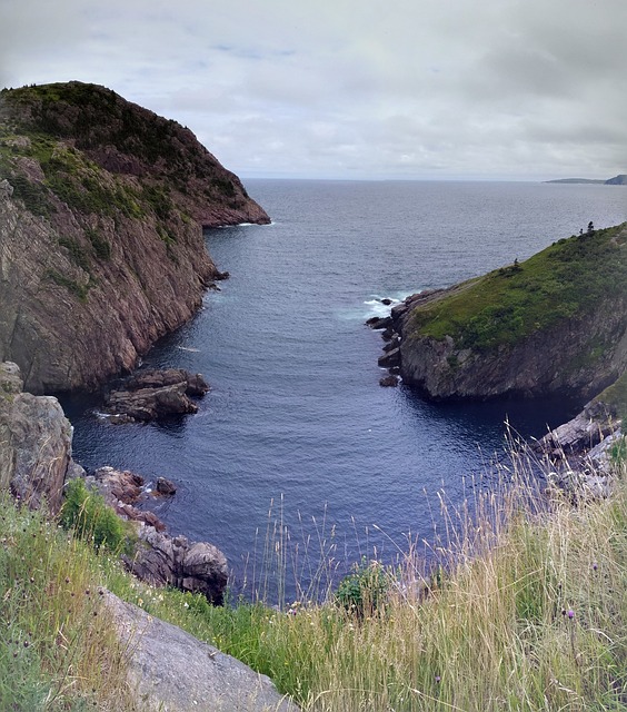 纽芬兰 信号山 海洋 - 上的免费照片