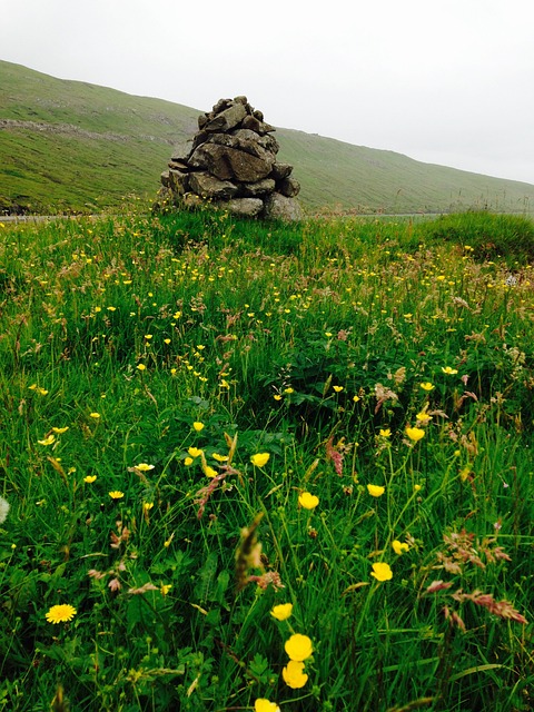 Faroeislands 自然 法罗 - 上的免费照片