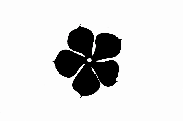 长春花 轮廓 花 - 免费矢量图形