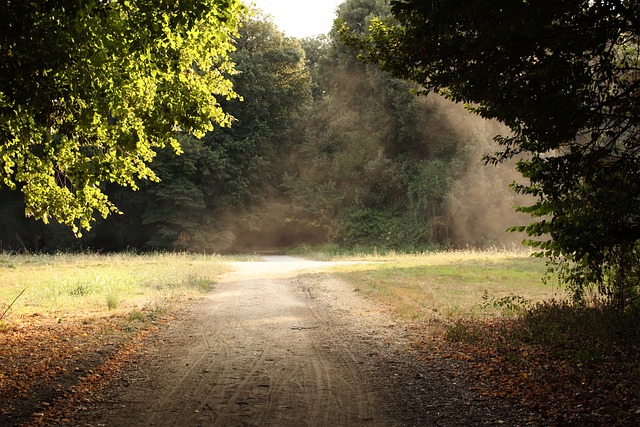 卡塞塔 皇宫的卡塞塔 皇宫 - 上的免费照片