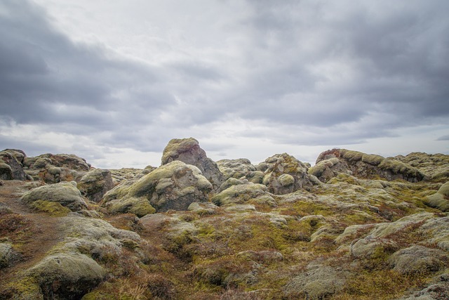 苔藓 岩石 冰岛 - 上的免费照片