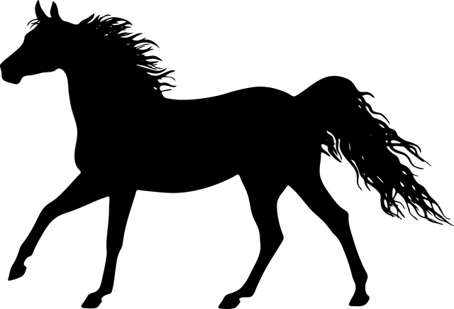 马 Konik 驰骋 - 免费矢量图形