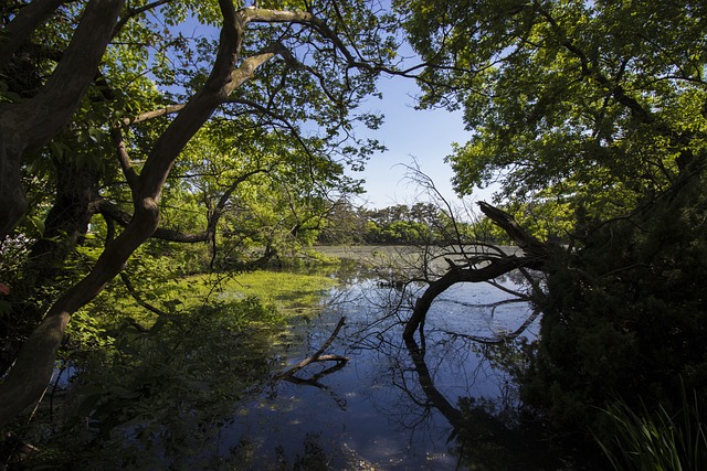对于许多 密阳 旅行 - 上的免费照片