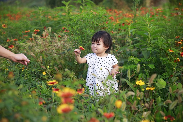 孩子 花 夏天 - 上的免费照片