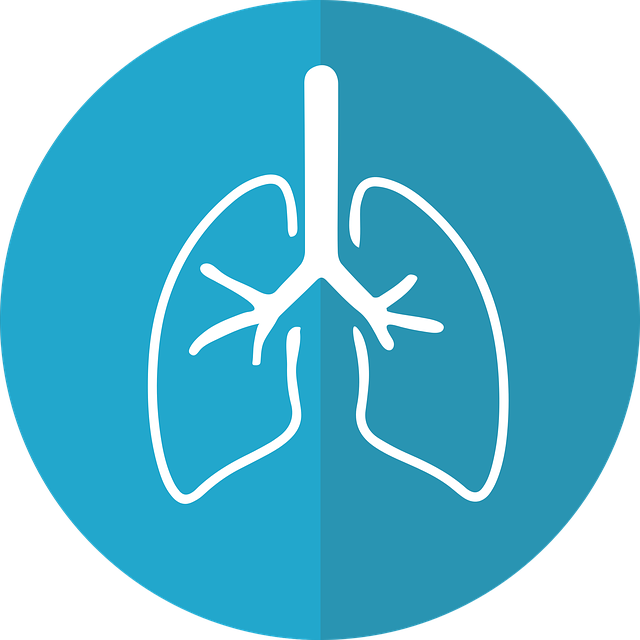 肺 肺的图标 呼吸 - 免费矢量图形
