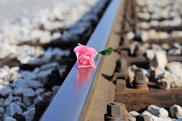 阻止儿童自杀 停止青少年自杀的 粉红色的玫瑰上的火车 - 上的免费照片