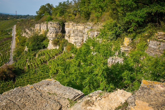 Hessigheim 岩石园 岩石的内卡河谷 - 上的免费照片