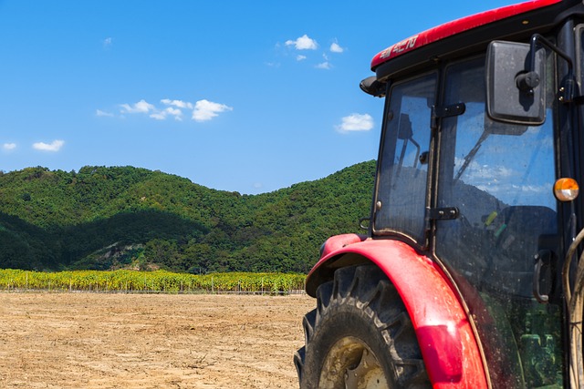 韩国 金浦 金宝 - 上的免费照片