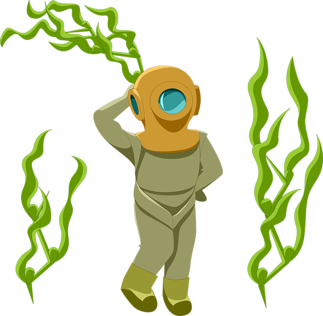 海藻 海带 水下 - 上的免费图片