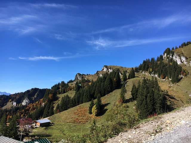 T?lzer土地 布劳内克 自然 - 上的免费照片