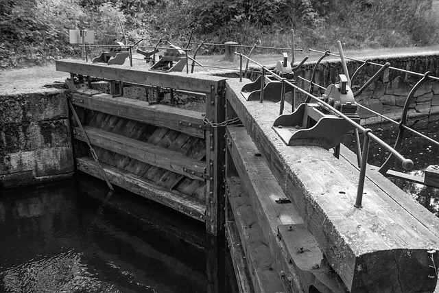 Konnus 东芬兰 佳能 - 上的免费照片